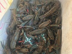 -王四营海鲜市场