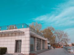 -大兴滨河森林公园