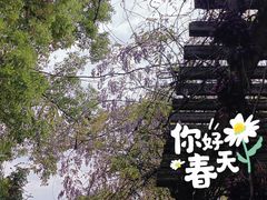-南昌动物园
