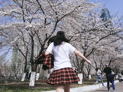 -西北湖绿化广场