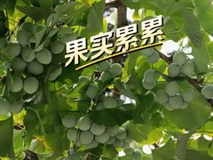 -大连植物园