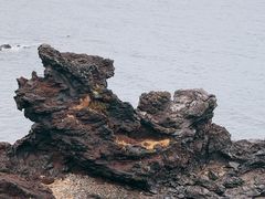 -龙头岩(Dragon Head Rock)