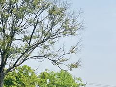 -高老庄·老溧阳·私房菜(南山竹海店)