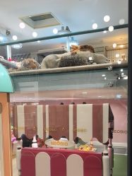 -奈尔宝·儿童乐园·亲子餐厅(星河湾店)