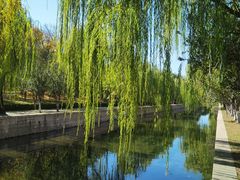 -元大都城垣遗址公园