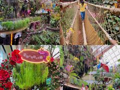 -正佳雨林生态植物园