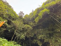 -海口火山口国家地质公园