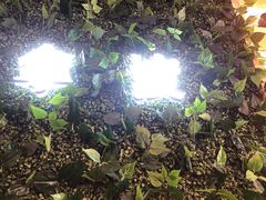 -拿渡·水煮鱼麻辣香锅(王府井奥莱·香江小镇店)