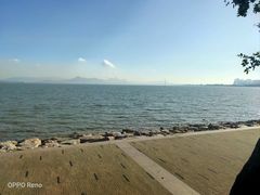 -宝安西湾红树林湿地公园