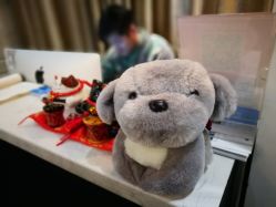 -变画·发型STUDIO