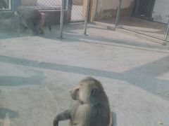 -商丘市人民公园