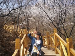 -大岭沟猕猴桃谷风景区