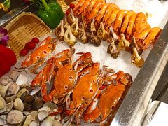 牛奶麦片-希尔顿欢朋酒店自助餐