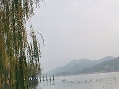 -鸣鹤古镇
