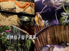 -正佳极地海洋世界