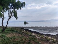 -洱海月湿地公园