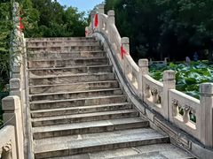 -莲池书院博物馆