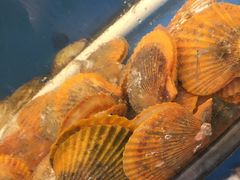 -渔中舟海鲜大排档(普陀沈家门店)
