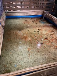 -造物庄园 萌宠纪(苏州湾歌林公园店)