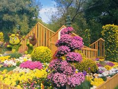 -上海共青森林公园