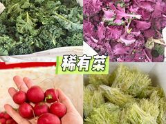 -细村农贸综合市场