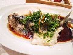 -红棉中餐厅·广州海航威斯汀酒店