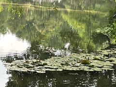 -味钱塘·钱塘渔鲜·地道江浙菜(宋城店)