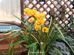 -国家植物园南园