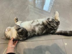 -倩极·精研痘敏肌管理