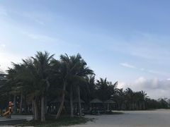 -东郊椰林