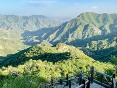 -大岭沟猕猴桃谷风景区