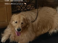 -火车头法国西餐厅