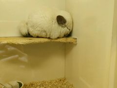 -龙猫仔乐园(惠福东路店)