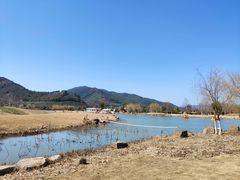-径山花海