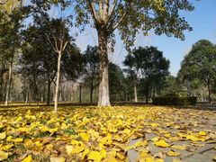 -长安大学(北校区)