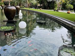 -三亚湾海居铂尔曼度假酒店