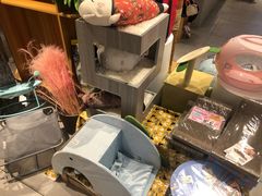 -狗道宠物(常熟印象城店)