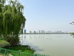 -金银湖国家城市湿地公园