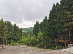 -武陵山森林公园