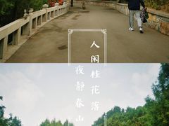 -佛慧山