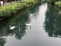 -长白岛森林公园