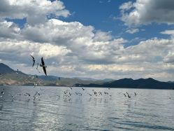 -小红帽摄影(丽江店)