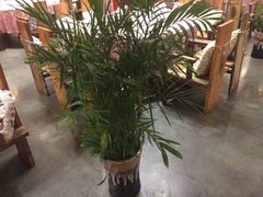 -临家闽南菜(翔安店)