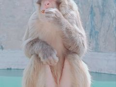 -白帝城·瞿塘峡景区