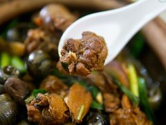 紫苏山坑螺焖田鸭-东兴黄鳝饭店(江洲店)