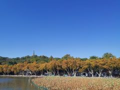 -外婆烧.老杭帮菜(庆春店)