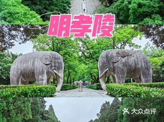 南京|来南京必打卡的5A级经典景区