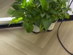 -小山城麻辣香锅(新邻生活广场店)