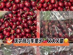 -沃尔玛超市(北大街店)