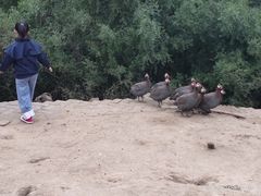 -森林公园(尖草坪区)